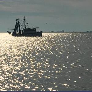 Meet your Posher, Louis